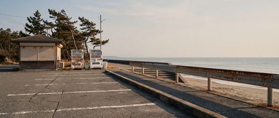 beach-parking-master
