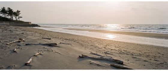 beach-master