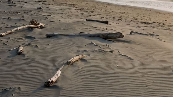 beach-sand