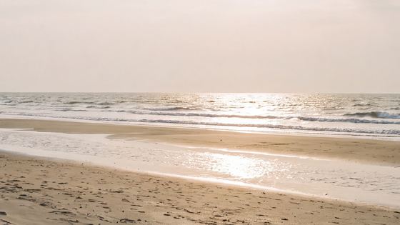 beach-tideline