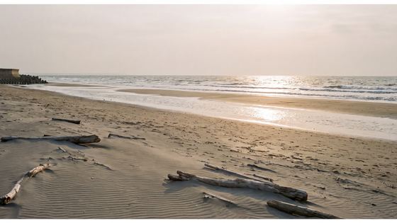 beach-wide