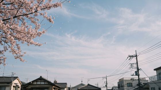 sky-1-spring