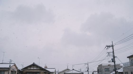 sky-4-snow